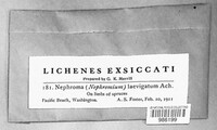 Image Associated With the Occurence